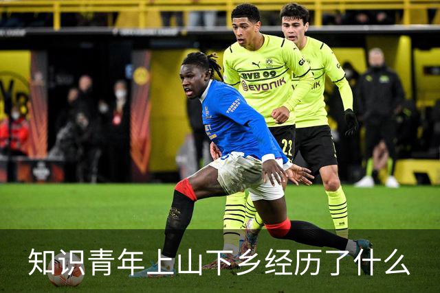 知识青年上山下乡经历了什么